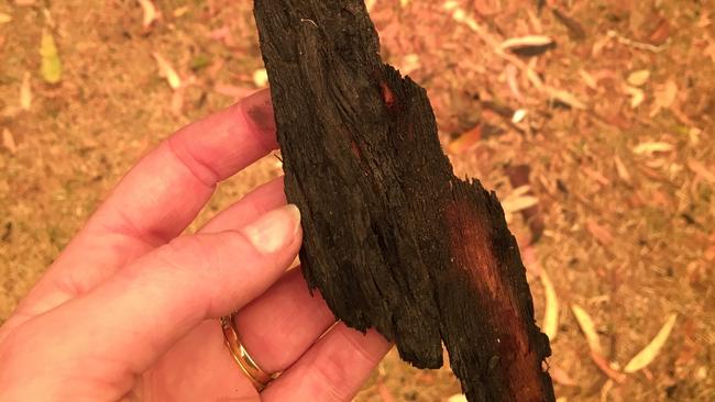 An image of a large ember which fell at Mallacoota at about 1.20pm. Picture: Cassandra Smith