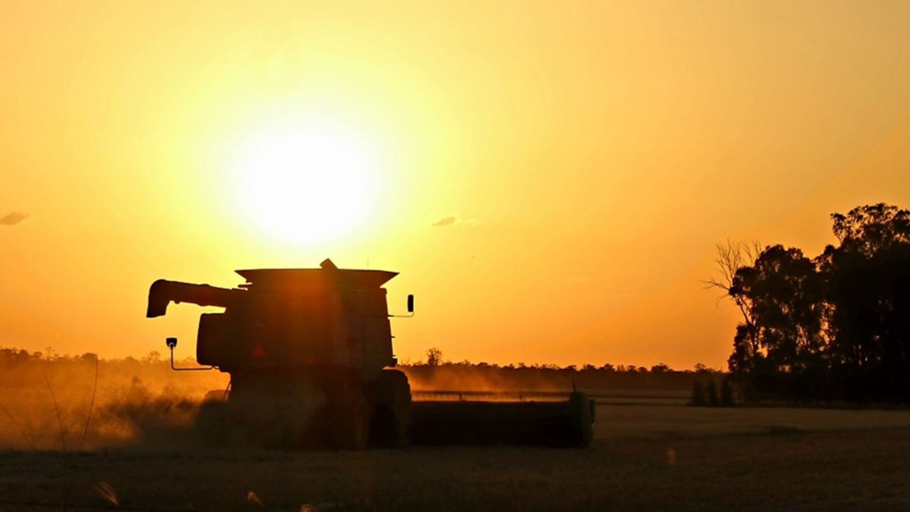 Harvest time at Ducklo. (Photo: Julie Woodford)