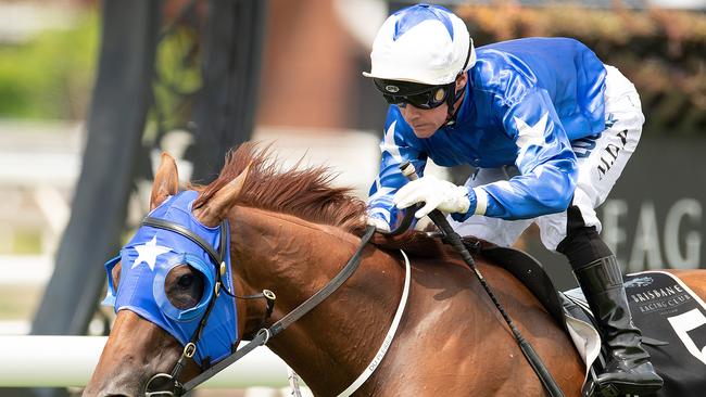 IN CONTENTION: Mark Du Plessis rides Meet Mr Taylor in the No Metro Wins Handicap, at Eagle Farm. They will be in action at Corbould Park on Saturday. Picture: AAP Image/Albert Perez.