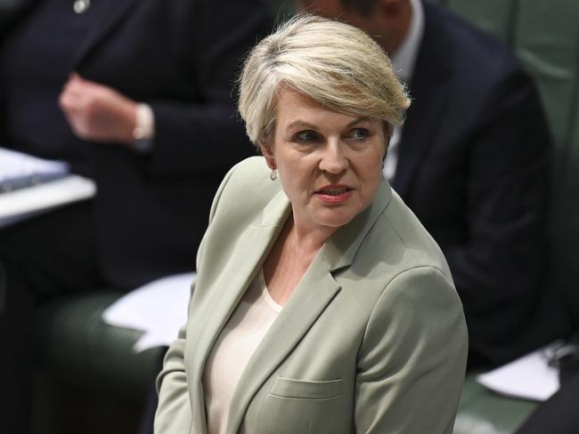 CANBERRA, AUSTRALIA, NewsWire Photos. NOVEMBER 29, 2023: Minister for Environment and Water Tanya Plibersek during Question Time at Parliament House in Canberra. Picture: NCA NewsWire / Martin Ollman