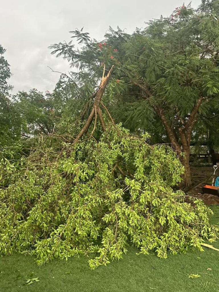 Trees were torn up at Hollie Cope's Gracemere property during a wild storm on January 12, 2025.