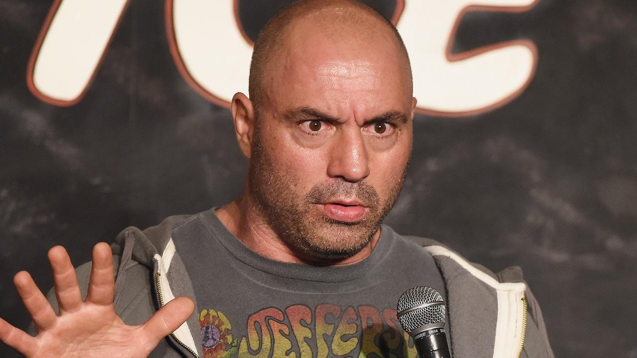 Joe rogan podcast hamster