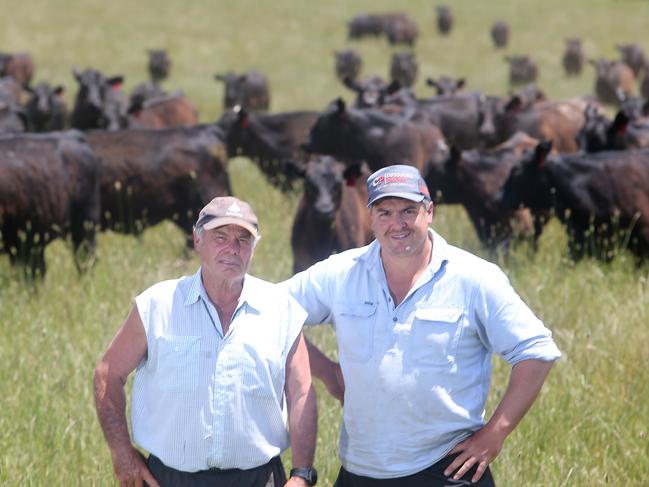 Rod Manning & his son Roddo, Angus cattle farm,  Mansfield,    Picture Yuri Kouzmin