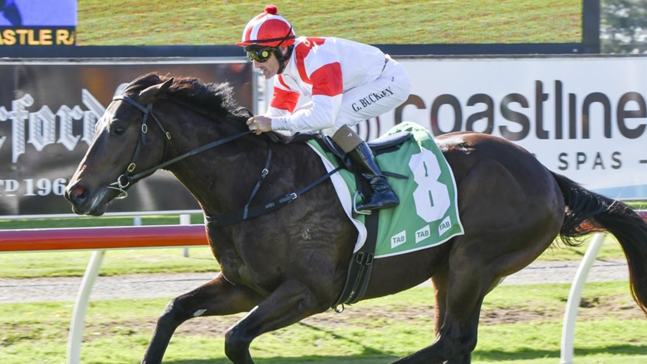 Misty Legend can bring up his second win at Newcastle on Thursday. Picture: Bradley Photos