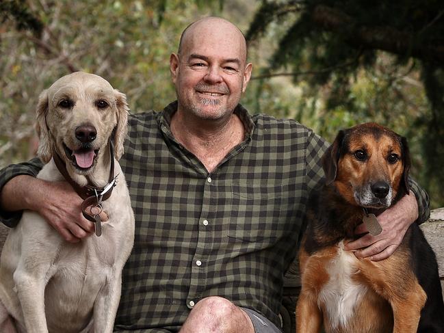 WARNING WARNING CONTACT HERALD SUN BEFORE USING 9292 1895 WARNING WARNINGHeraldSun chief football writer mark Robinson at home in Warrandyte with his dogs Elvis (left) and Tiger, 12 weeks post 6 way heart bypass operation.       . Photo by Michael Klein