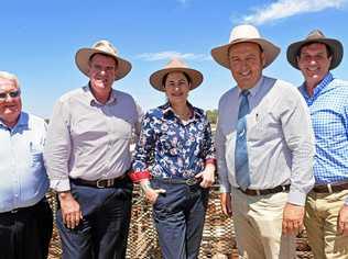 SUPPORT: Federal Minister for Agricultural Industry Development Mark Furner (second from left) and Premier   Palaszczuk paid a visit to the Roma saleyards earlier this year. They are flanked by Cr Peter Flynn, Maranoa mayor Tyson Golder and Queensland Natural Resources Minister  Anthony Lynham. Picture: Alexia Austin