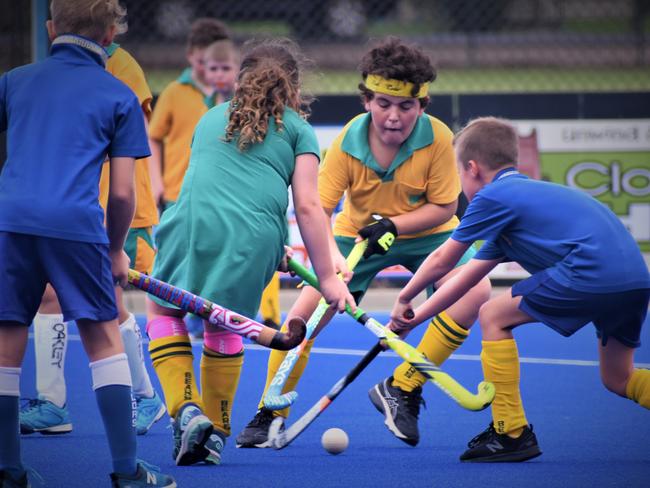 Primary school students from throughout Grafton participated in the first round of The Daily Examiner Hockey competition at Clarence Valley Regional Hockey Complex on Thursday, 25th February, 2021. Photo Bill North / The Daily Examiner