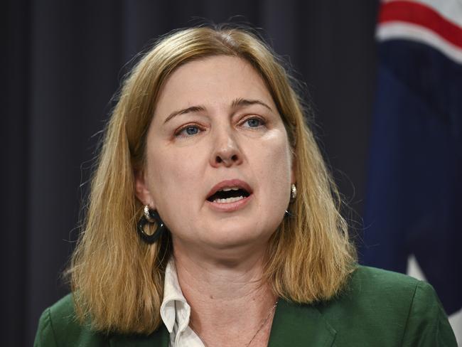 CANBERRA, Australia - NewsWire Photos - October 14, 2024: Minister for Agriculture, Fisheries and Forestry, Julie Collins holds a press conference at Parliament House in Canberra. Picture: NewsWire / Martin Ollman