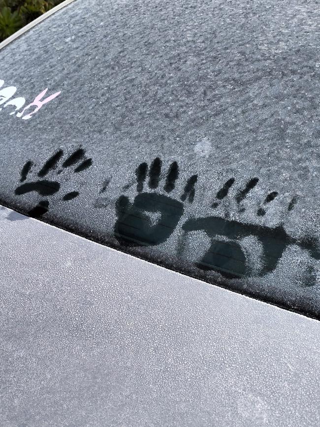 Hand prints in the frost. Picture: Phoebe Rowley