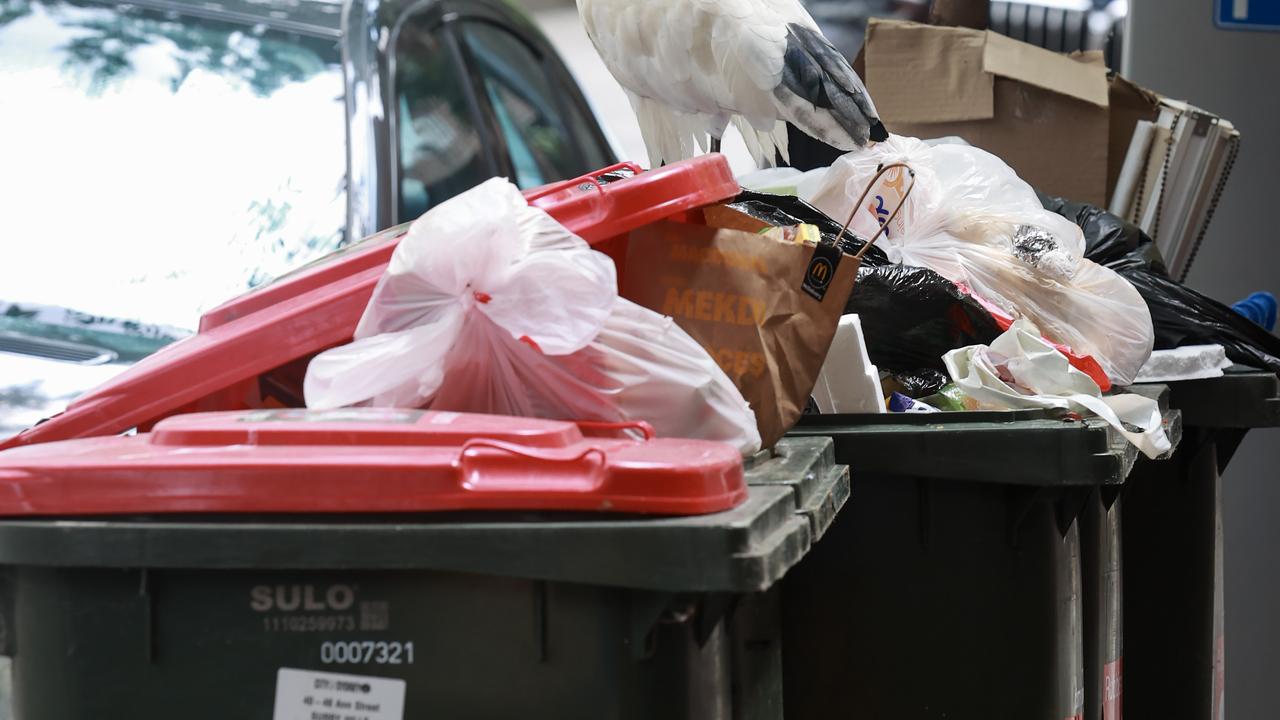 Clover Moore under fire as residents threaten action over garbage bin ...