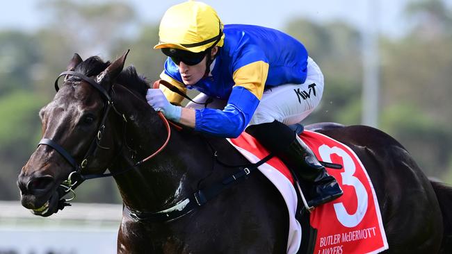 Kyle Wilson-Taylor rides Punch Lane home at the Sunshine Coast for trainers Anthony and Sam Freedman. Picture: Grant Peters - Trackside Photography