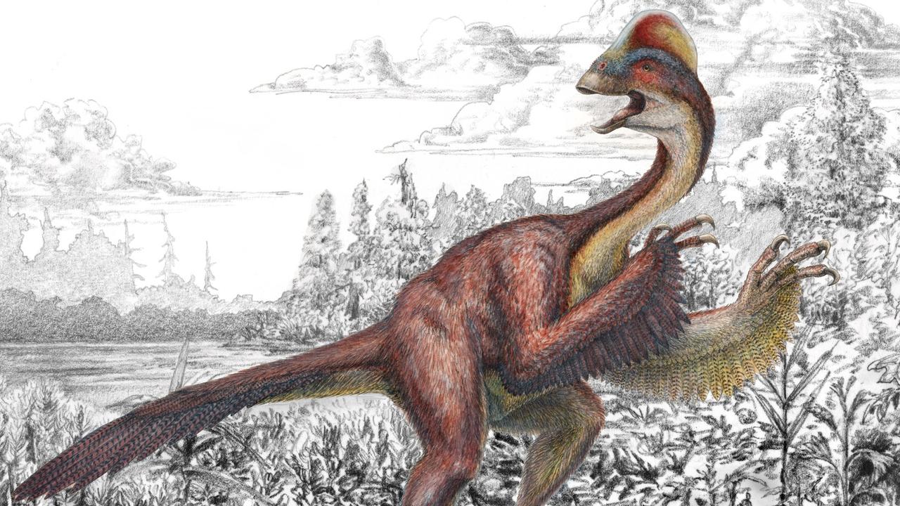 An illustration of an Anzu wyliei. A second “chicken from hell”, Eoneophron infernalis, has been discovered but it was only one metre tall, 60cm shorter than Anzu, and weighed 75kg. Picture: AP Photo/Carnegie Museum of Natural History, Mark Klingler