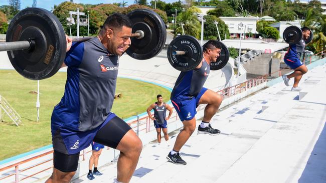 The Wallabies train in Noumea ahead of the World Cup. Picture: Rugby AU Media/Stuart Walmsley