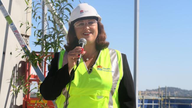 Parliamentary Secretary for Health, Natasha Maclaren-Jones MLC, attended the ceremony today. Picture: Toby Vue