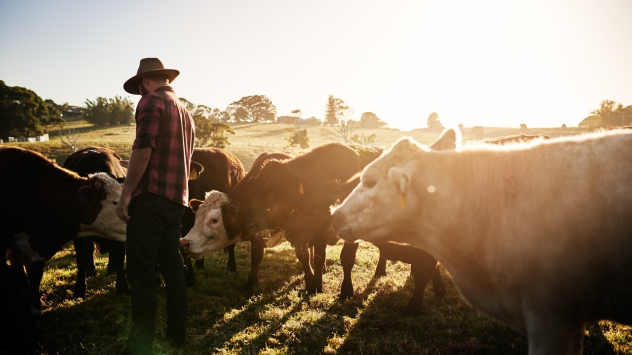 New Zealand-based dairy company Fonterra is selling its Australian operations