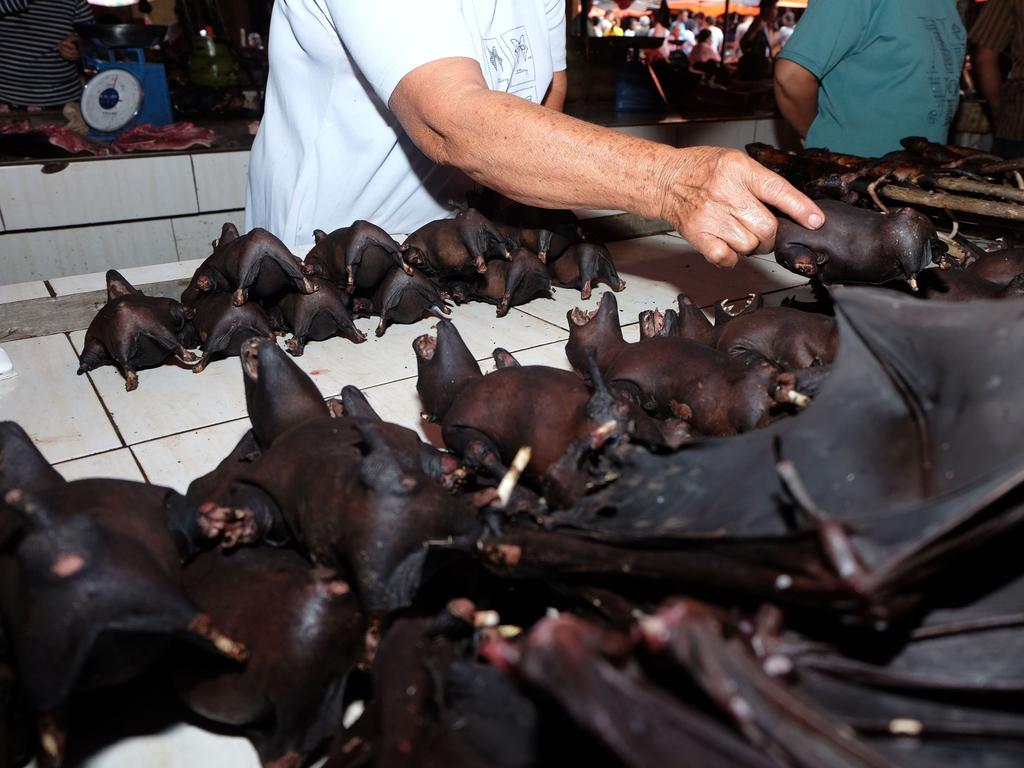 This photo taken in February shows a vendor selling bats at the Tomohon Extreme Meat market on Sulawesi island, Indonesia. Picture: Ronny Adolof Buol/AFP