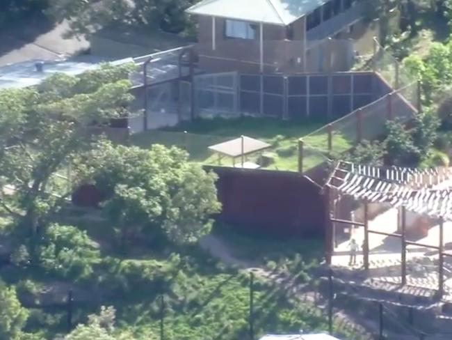 An aerial view of the lion enclosure on the day of the escape. Picture: 7 News