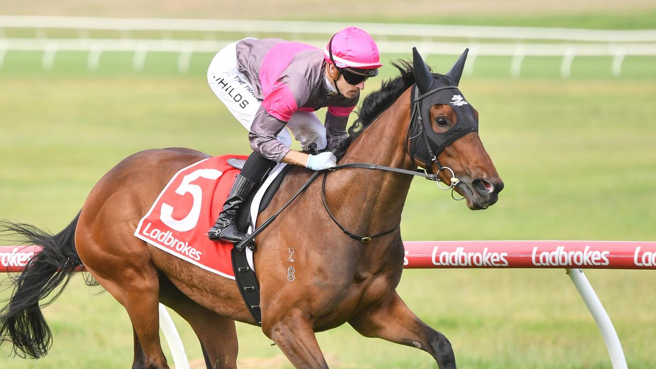 Plenty Of Ammo could back-up in a Group 1 race next week with a big performance in the Group 2 Crystal Mile at The Valley on Saturday. Picture: Pat Scala/Racing Photos via Getty Images