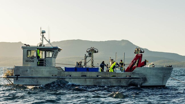 The business grows seaweed in waters off Tasmania. Picture: Supplied