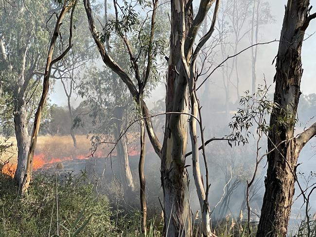 Firefighters battle an active blaze on the Wimmera River near the township of Dimboola on Tuesday. Picture: Gianni Francis