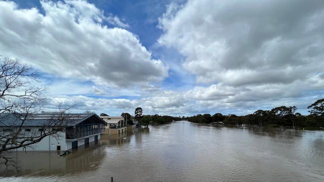 The flooded Barwon River in Geelong. Picture: Karen Dodd