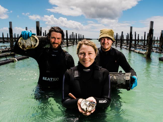 ONE TIME USE - FEES APPLY . Alizee Milles, Martin Nivelle and , Simon Le Treust from France working on oyster lease for Brendan Guidera at Pristine Oysters, Coffin Bay. Picture: Robert Lang