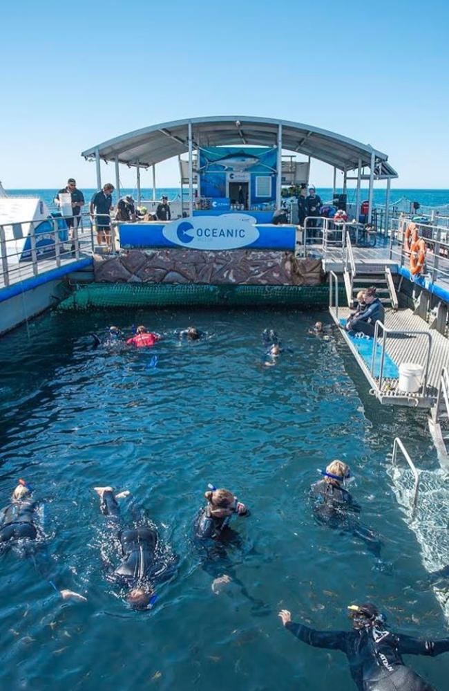 The swim-in aquarium Oceanic Victor.