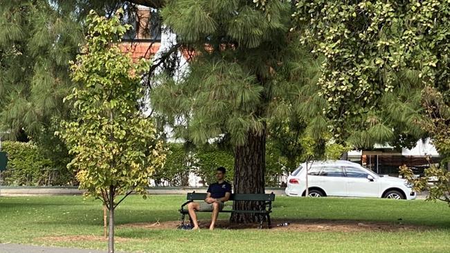 Well this is something you don’t see every day. Novak Djokovic on a park bench in North Adelaide 29 January 2021. Picture: Simeon Thomas-Wilson