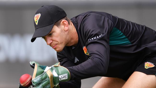 Tim Paine will captain the Great Barrier Reef Rays in their inaugural season. Photo by Mark Brake/Getty Images.