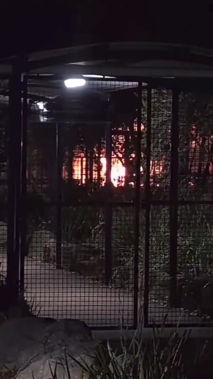 Fire erupts at Sydney high school on first night of school holidays