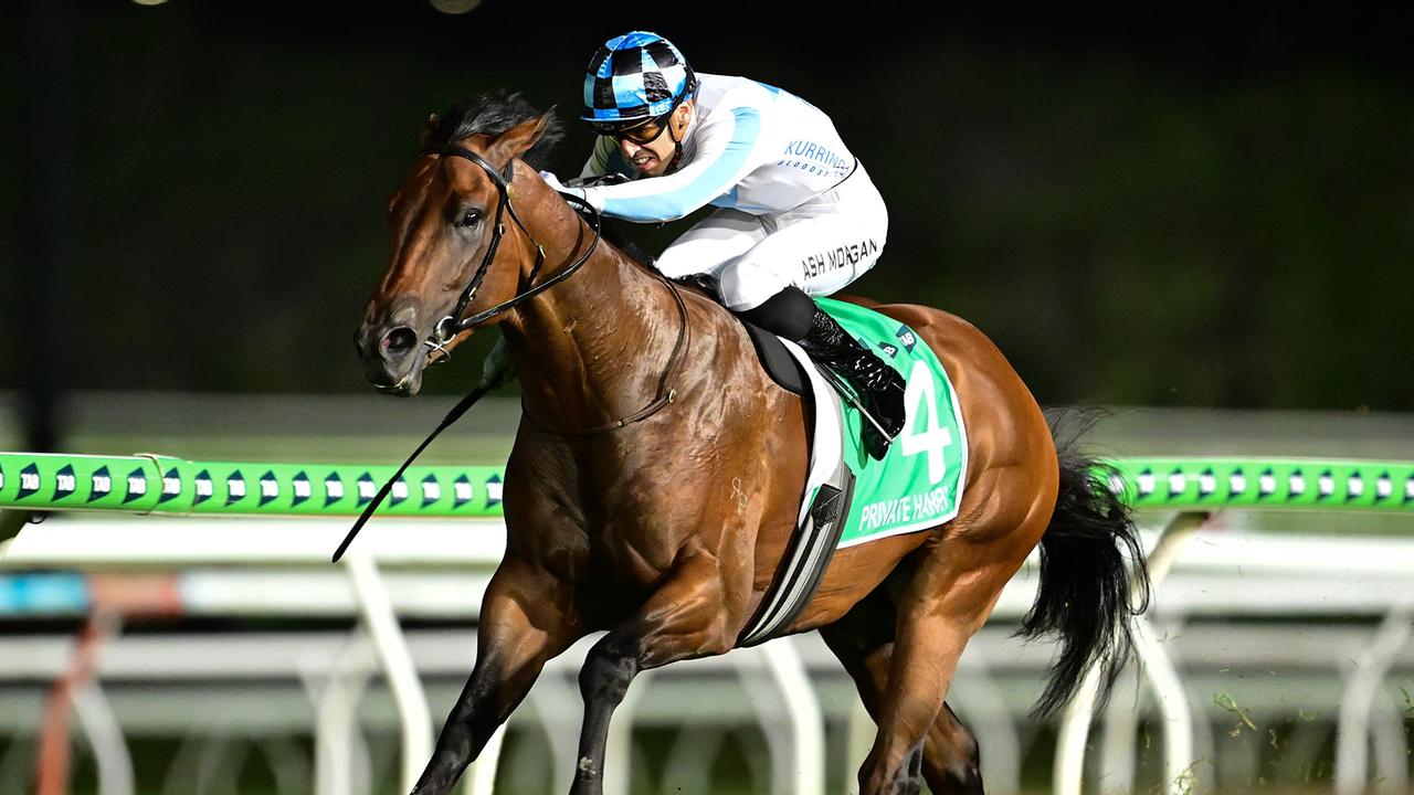 Gun sprinter Private Harry puts his reputation on the line in Saturday’s Group 1 Galaxy at Rosehill. Picture: Grant Peters/Trackside Photography.