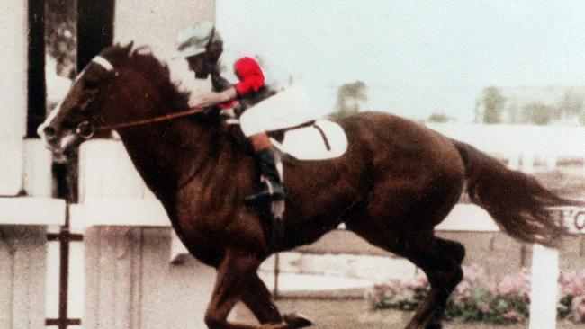 Vain won a memorable Golden Slipper in 1969.