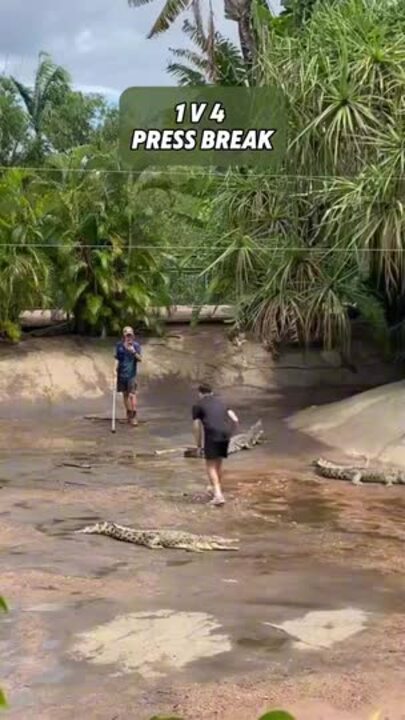 Basketball with crocs: Lunch or the next NBA superstar?