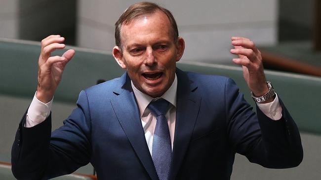 Former Prime Minister Tony Abbott. Picture: Kym Smith.