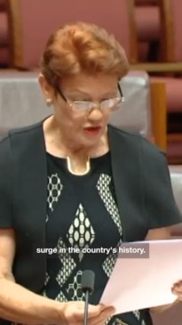 Pauline Hanson calls for halt on immigration in the senate