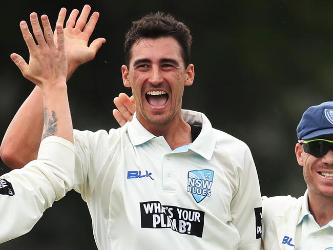 Mitchell Starc celebrates with David Warner his hat-trick bowling WA's Simon Mackin during the Sheffield Shield match between NSW and WA at Hurstville oval. Picture. Phil Hillyard