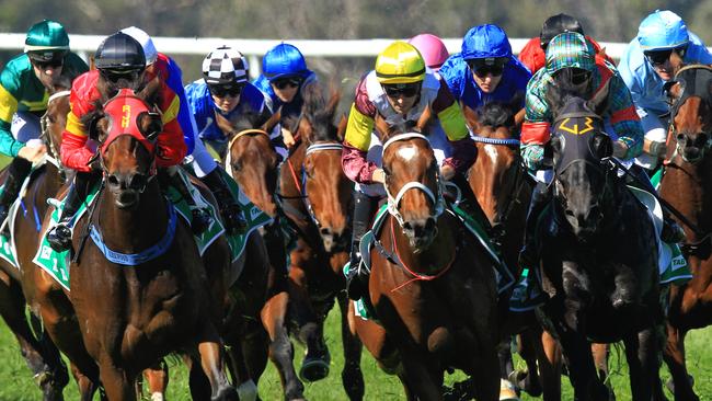 Racing in New South Wales on Wednesday is at Newcastle.