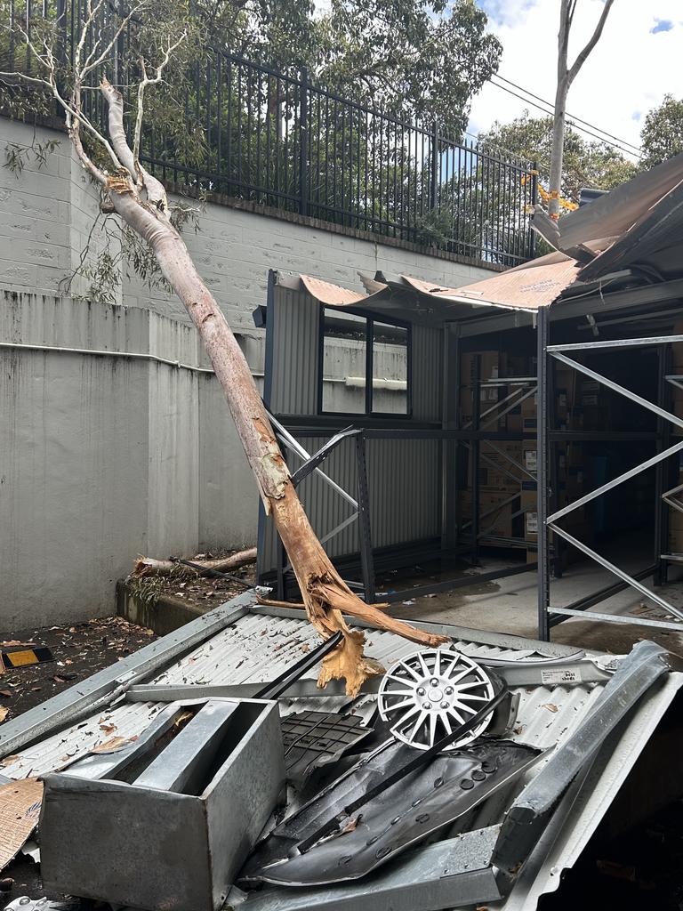 The crash brought down a tree metres from a storage container full of supplies (right).