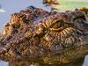 Terrifying time for boaties stranded in croc-infested waters