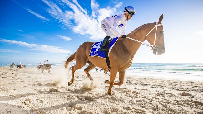 2023 Magic Millions beach gallop - Barrier draw on Surfers Paradise beach on the Gold Coast. Picture: NIGEL HALLETT