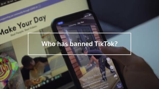 Who has banned TikTok?