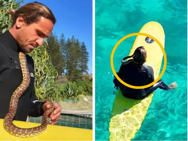 Twist after man takes pet snake surfing