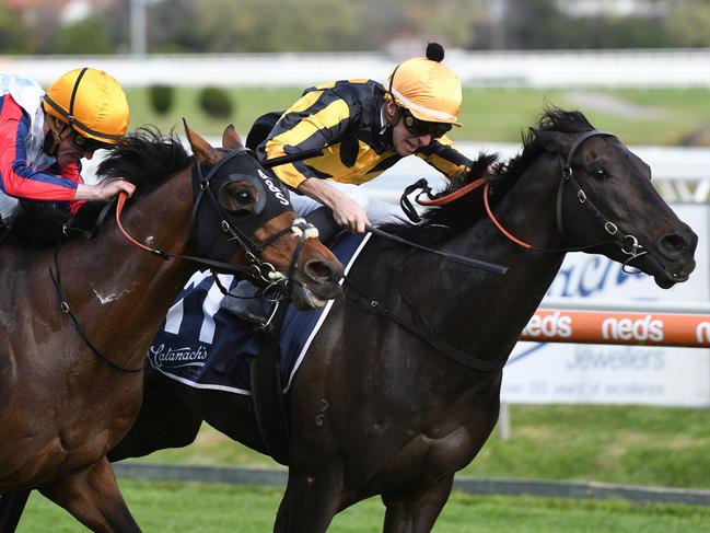 MELBOURNE, AUSTRALIA - SEPTEMBER 18: Jordan Childs riding Nonconformist defeats John Allen riding Delphi in Race 7, the Catanach's Jewellers Mrc Foundation Cup, during Melbourne Racing at Caulfield Racecourse on September 18, 2021 in Melbourne, Australia. (Photo by Vince Caligiuri/Getty Images)