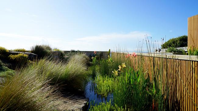 The wet garden. Picture: Dan Harmon.