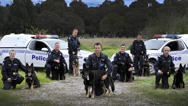 WA Police dog squad deliver ‘ruff’ justice to 1200 Perth ‘crooks ...