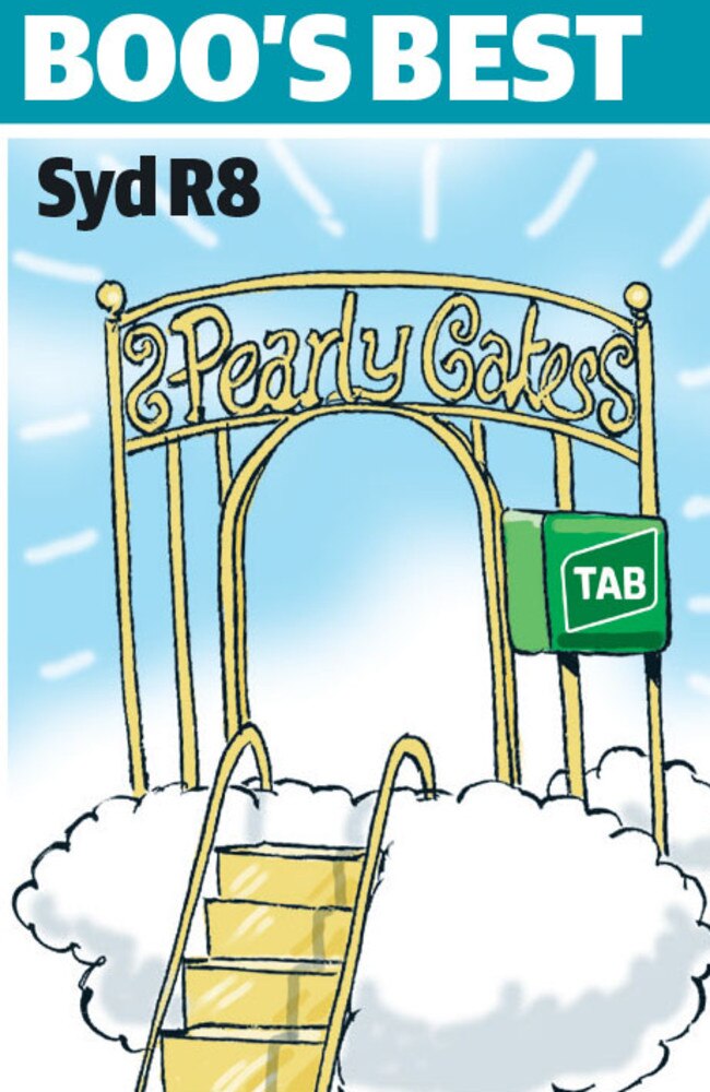 Boo Bailey’s cartoon tip for Rosehill.