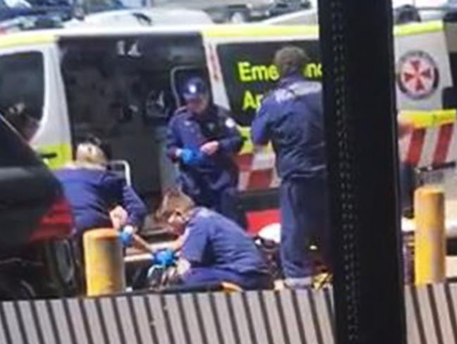 Paramedics with the fatally wounded Hawi. Picture: Supplied