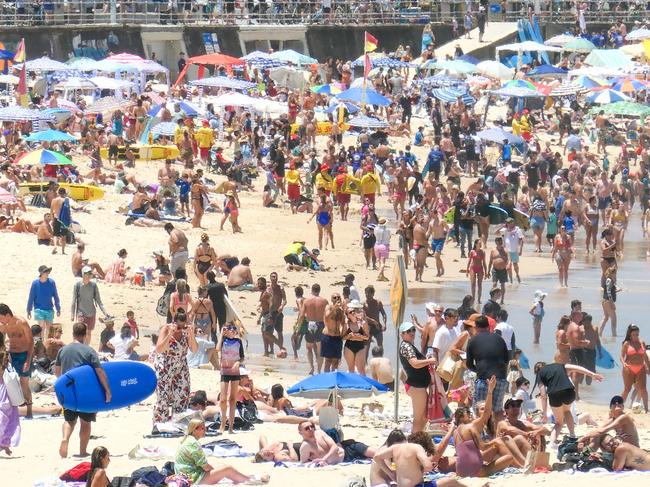 Large crowd of people on Bondi Beach in the Eastern Suburbs of Sydney on 2 January 2023.  The red and yellow coloured uniforms and surfboards of surf lifesavers are visible in the crowd. The red and yellow flags indicate the area where it is safe to swim.  This image was taken at the northern end of the beach in the early afternoon.