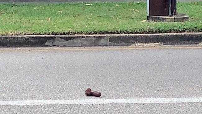 The mock member was spotted on Dick Ward Drive en route to Fannie Bay. Picture: Steve Tsoukalas