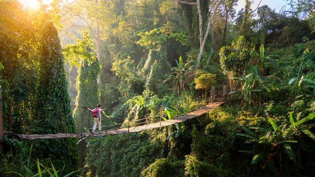 *EXTRAS/NOT SPECIFICALLY MENTIONED IN STORY* ESCAPE: Chiang Mai, Paul Ewart, Sunday Escape -  Backpacker on suspension bridge in rainforest Picture: Istock